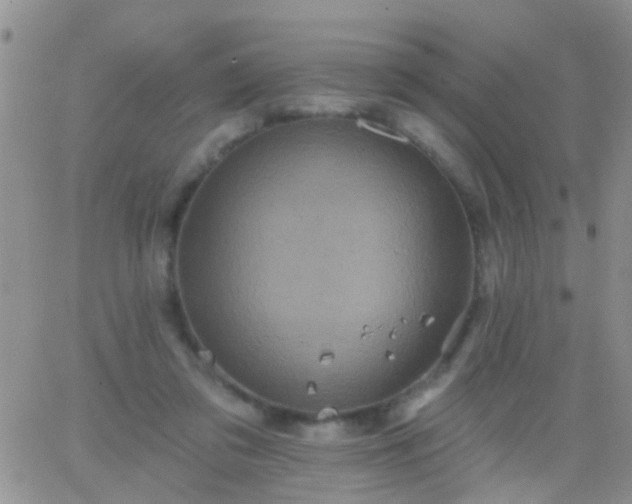 X0000066120309200603171800