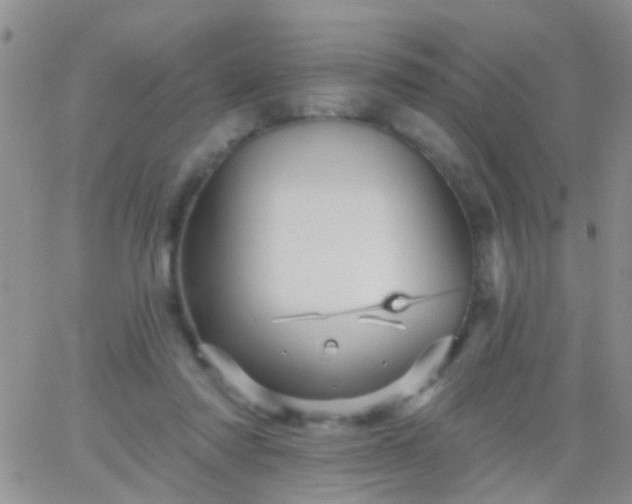 X0000066120310200603171800