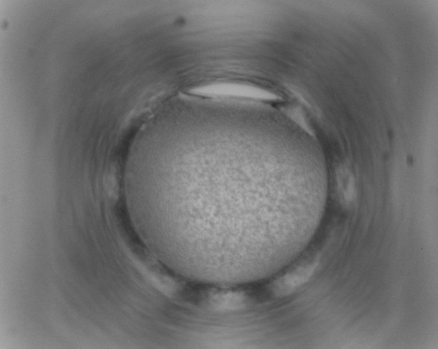 X0000066120311200603171800