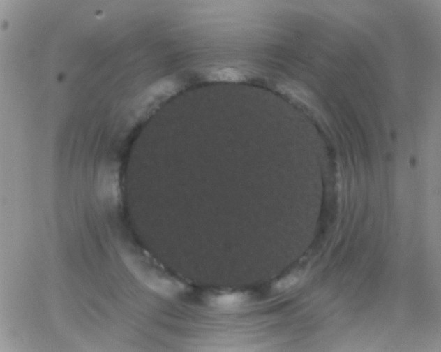 X0000066120312200603171800