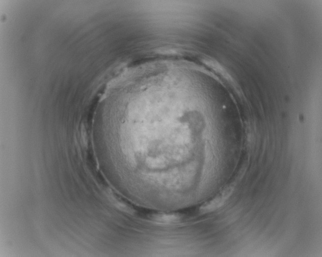 X0000066120313200603171800