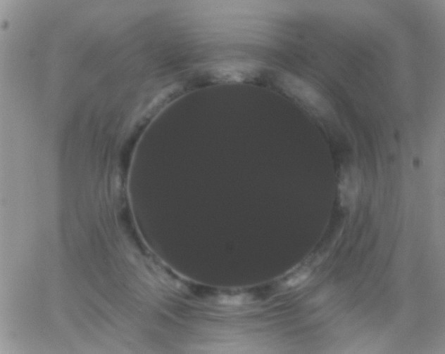 X0000066120314200603171800