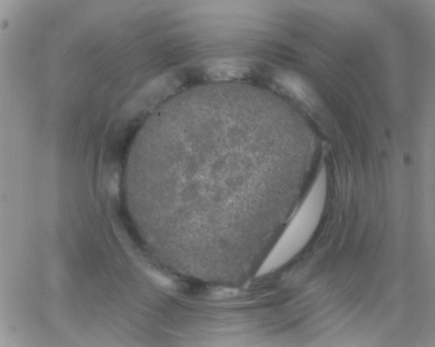 X0000066120315200603171800