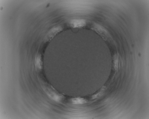 X0000066120316200603171800