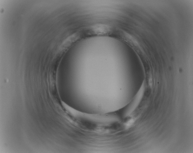 X0000066120317200603171800