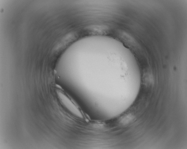 X0000066120318200603171800