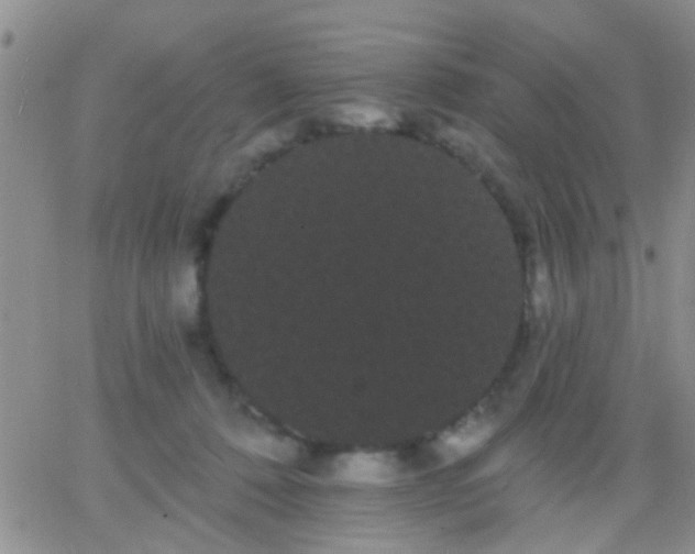 X0000066120320200603171800