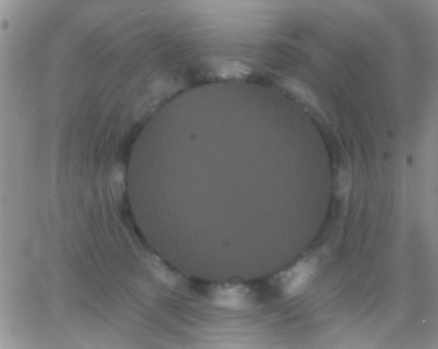 X0000066120321200603171800