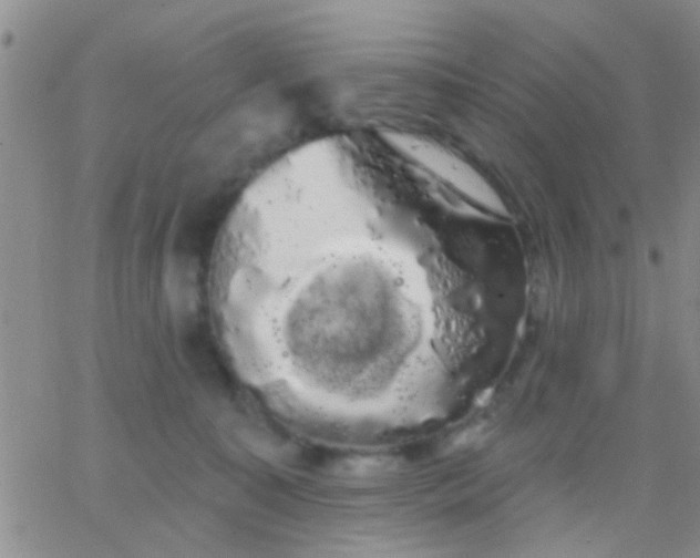 X0000066120323200603171800