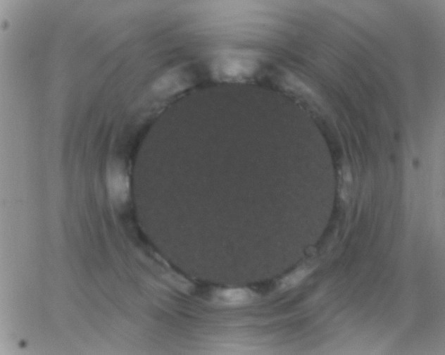 X0000066120324200603171800