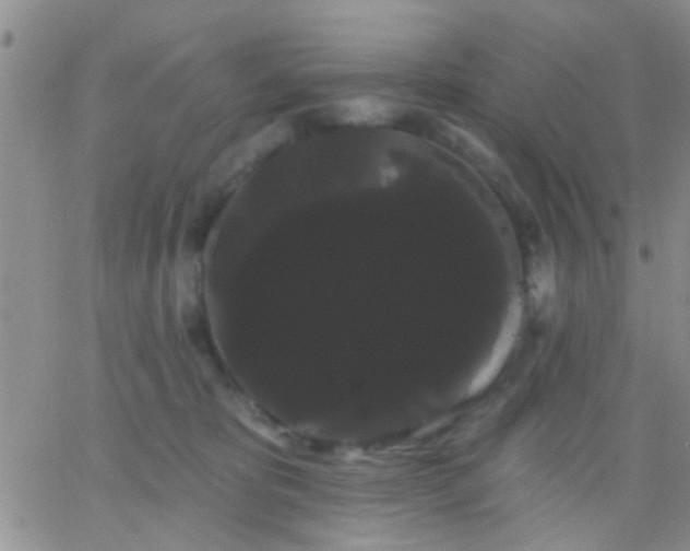 X0000066120325200603171800