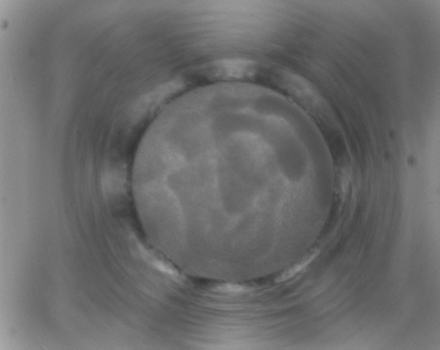 X0000066120326200603171800