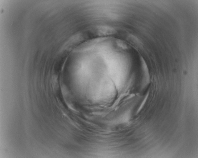 X0000066120327200603171800