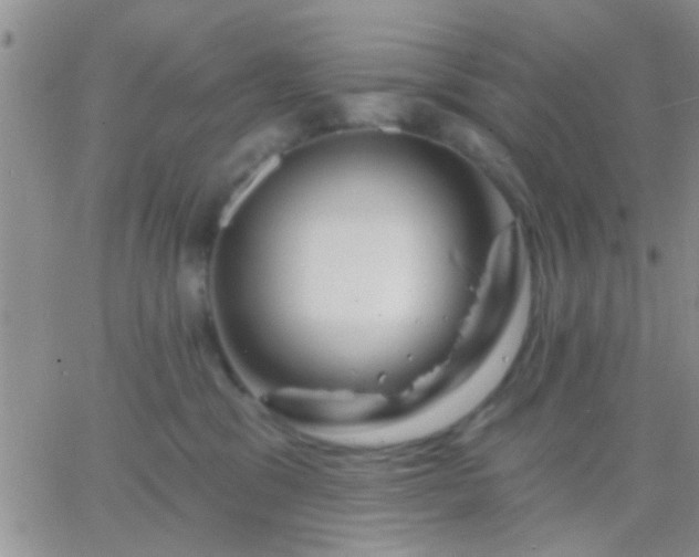 X0000066120329200603171800