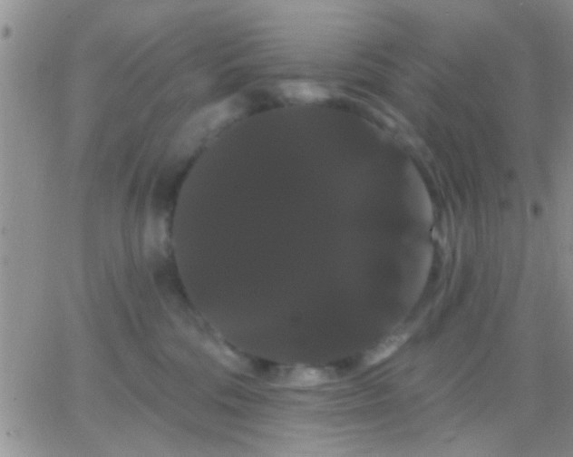 X0000066120330200603171800