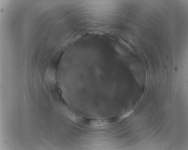 X0000066120331200603171800