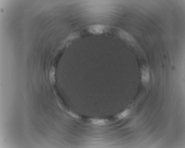 X0000066120332200603171800