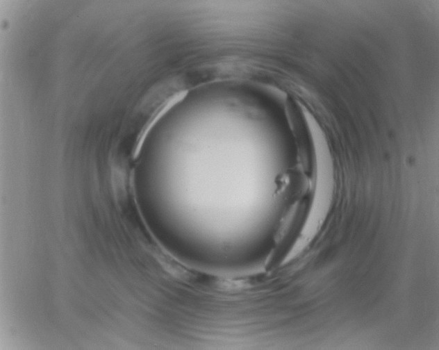 X0000066120333200603171800