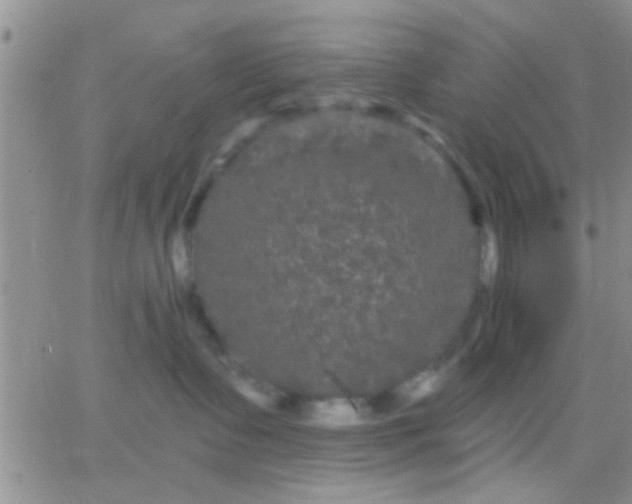 X0000066120335200603171800