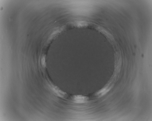 X0000066120336200603171800