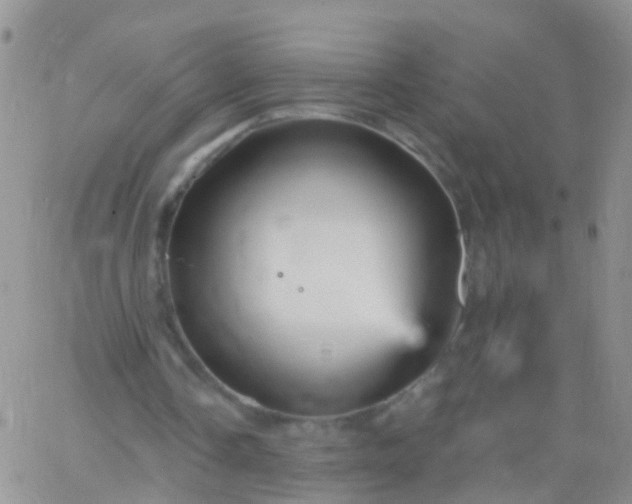 X0000066120338200603171759