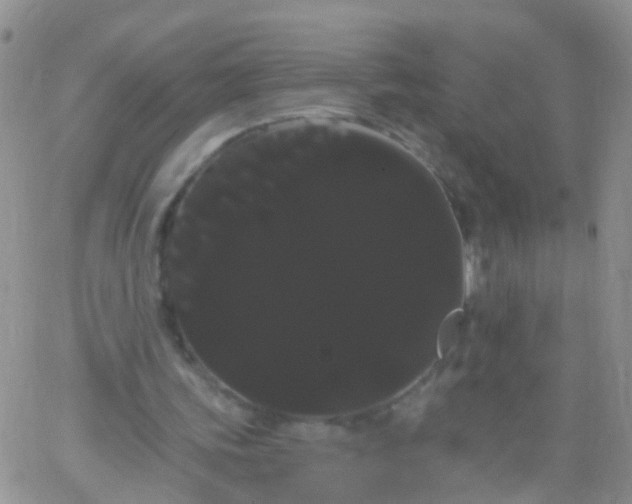 X0000066120339200603171759