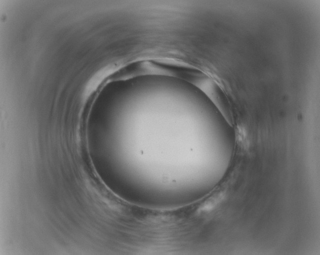 X0000066120340200603171759