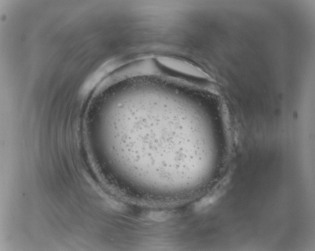 X0000066120341200603171759