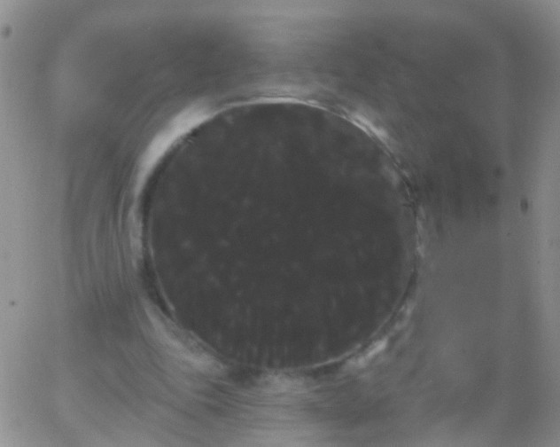 X0000066120343200603171759