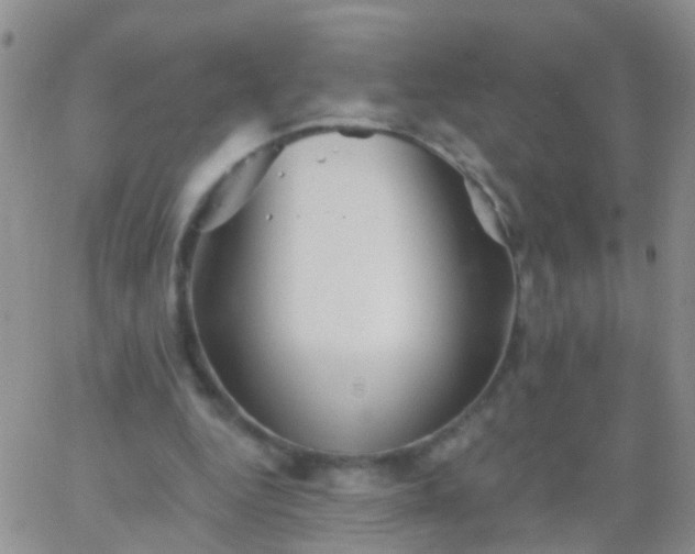 X0000066120344200603171759