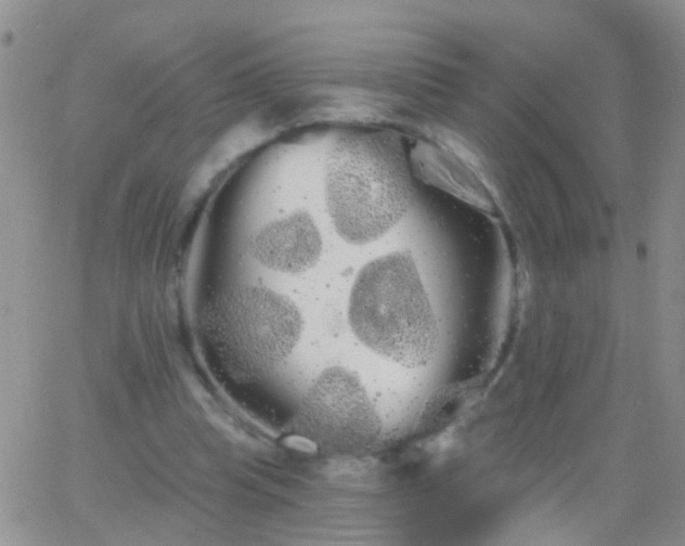 X0000066120345200603171759