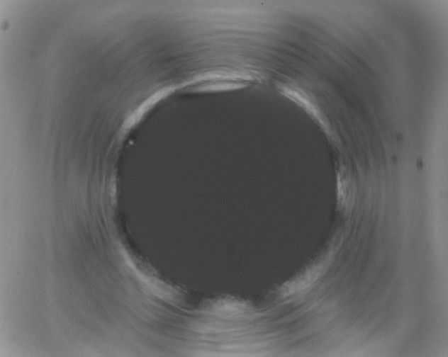 X0000066120348200603171759