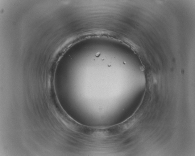 X0000066120350200603171759