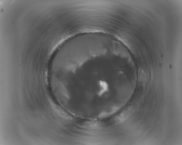 X0000066120351200603171759