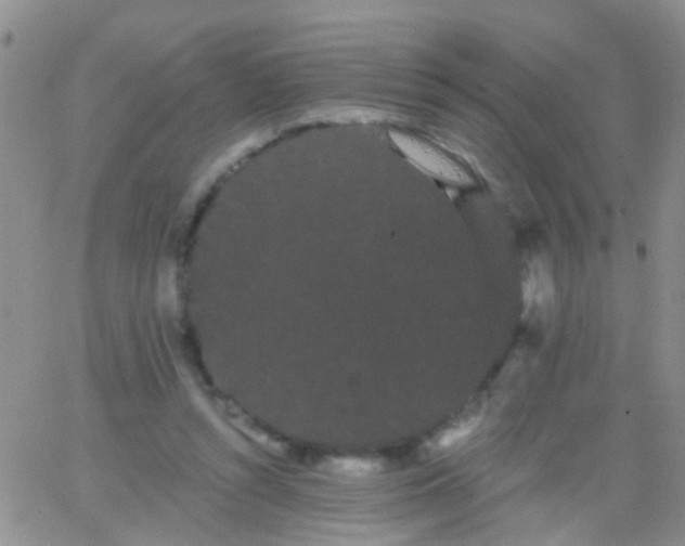 X0000066120352200603171759