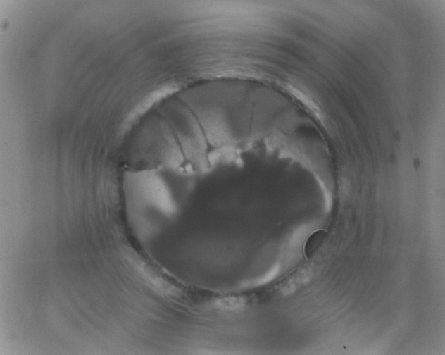 X0000066120353200603171759