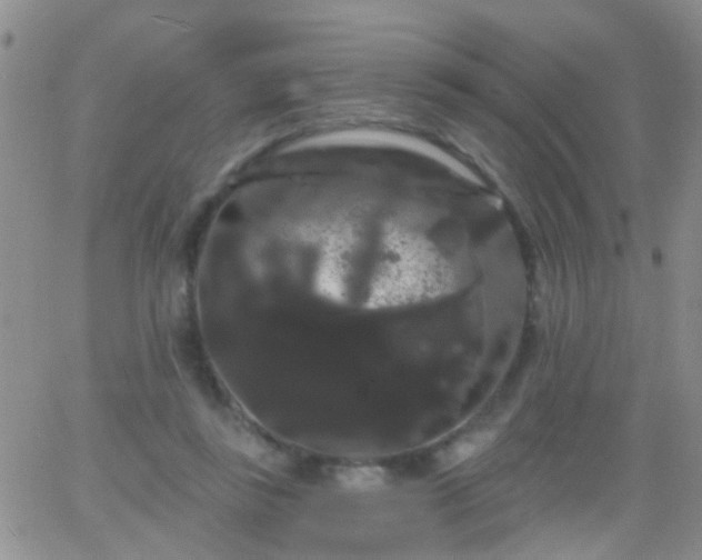 X0000066120355200603171759