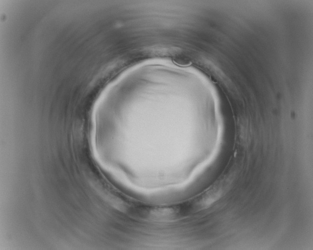 X0000066120357200603171759