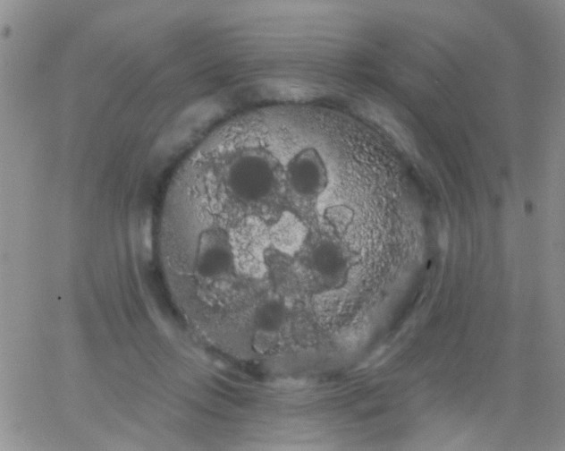 X0000066120358200603171800