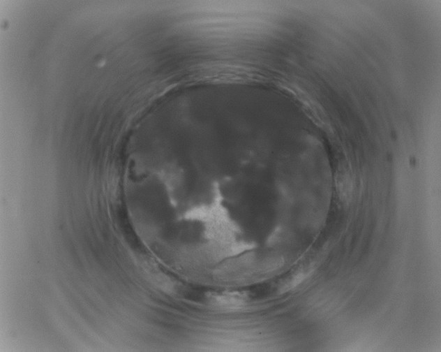 X0000066120359200603171800