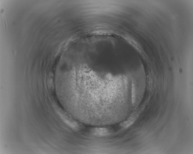 X0000066120361200603171800