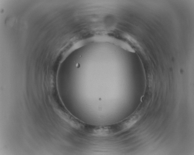 X0000066120362200603171800