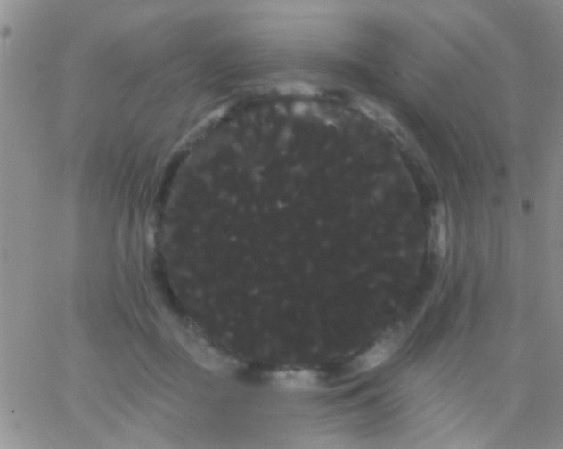 X0000066120363200603171800