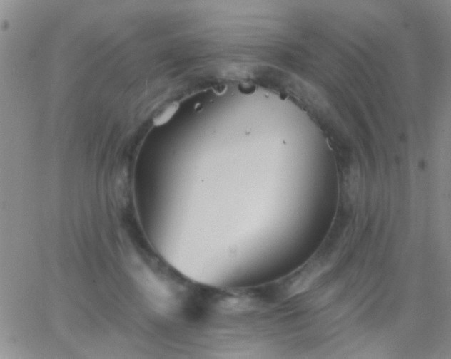 X0000066120364200603171800