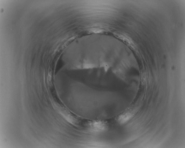 X0000066120365200603171800