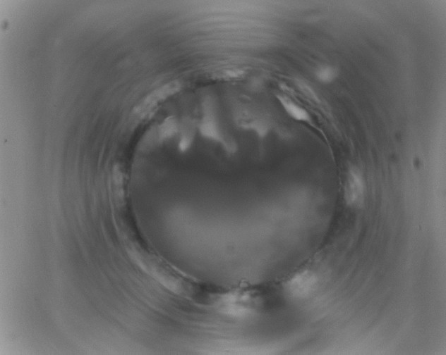 X0000066120366200603171800