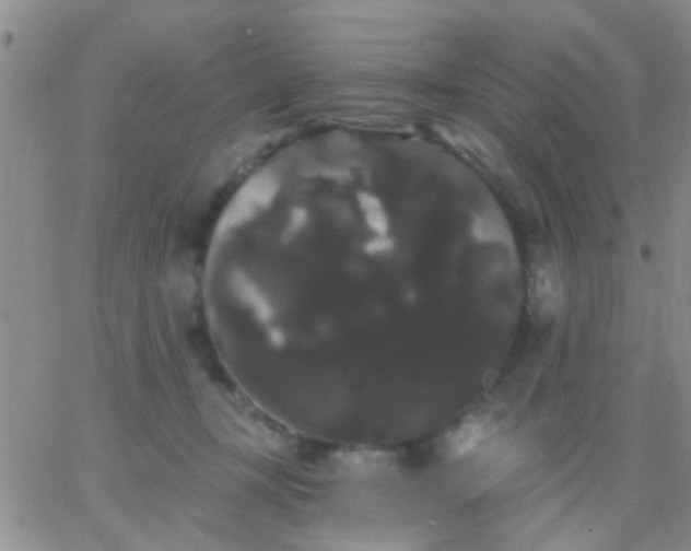 X0000066120367200603171800