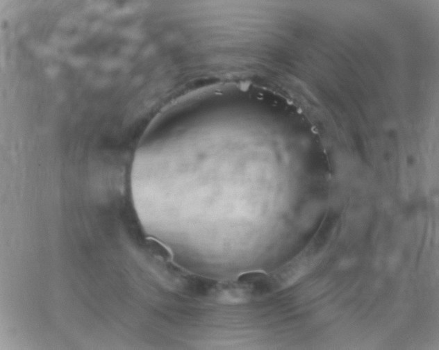 X0000066120368200603171800