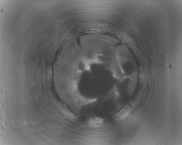 X0000066120369200603171800