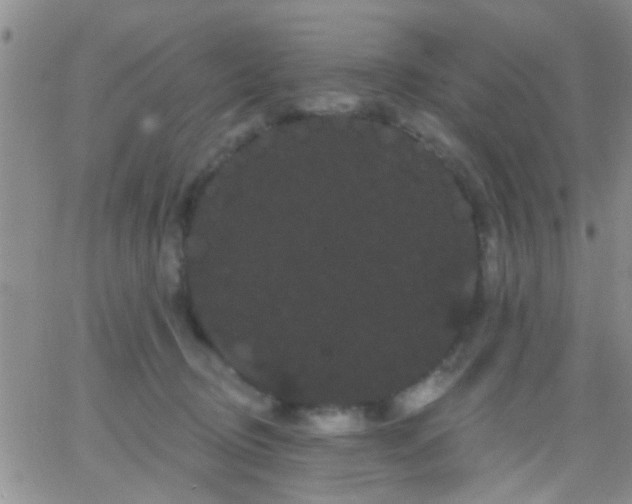 X0000066120370200603171800